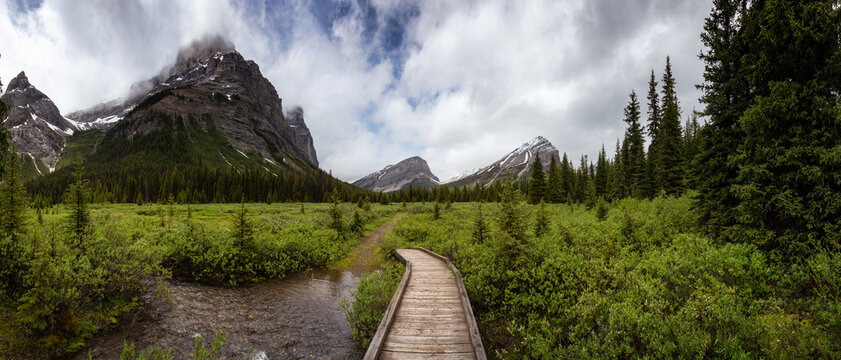 Panoramic View of the Hiking Trail in the Green Meadows with Canadian Rocky Mountains in Background during springtime. Taken near Banff, boarder of British Columbia and Alberta, Canada.