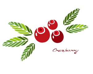 Stylish icon logo with cranberry. Red berries and green leaves with lettering. Bright simple flat vector illustration.