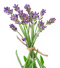 Naklejka premium Bouquet of lavender flowers isolated on a white background.