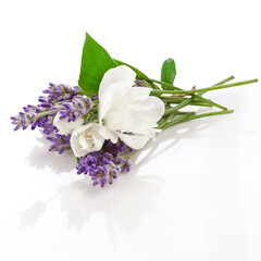 Lavender and jasmine flowers isolated on a white background.