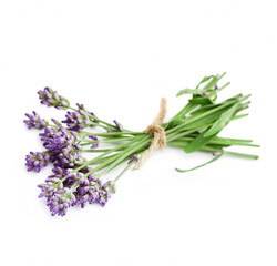Fototapeta premium Bouquet of lavender flowers isolated on a white background.