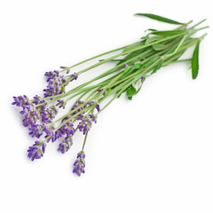 Naklejka premium Bouquet of lavender flowers isolated on a white background.