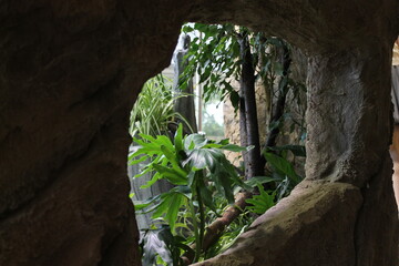 cave in the cave