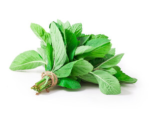 Fresh mint leaves isolated on a white background.