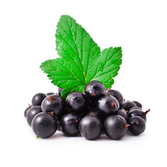 Fresh black currant isolated on a white background.
