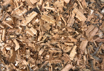 Wood shavings from the plane