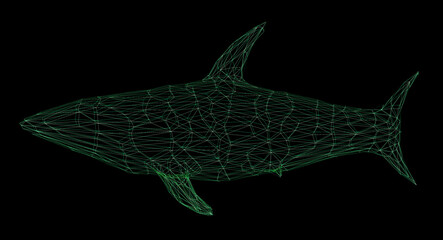 Wireframe polygonal shark