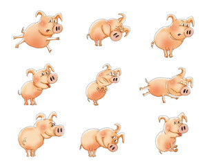 Funny pig in various poses, set of cartoon illustrations.