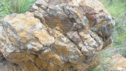 stone in the forest