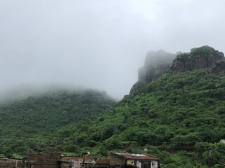 mountain landscape with clouds, trees and fog.