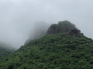 misty mountain landscape with clouds and trees