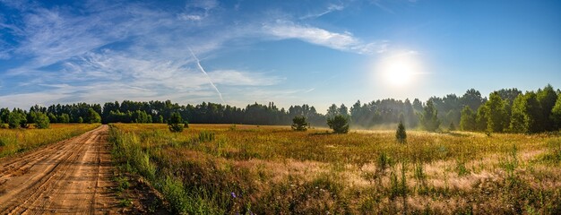 Panorama of a field surrounded by forest and a dirt road passing through it, in the background, the...
