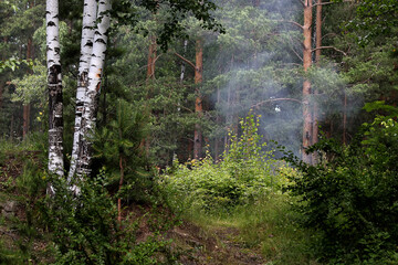 water sprinkler spraying water