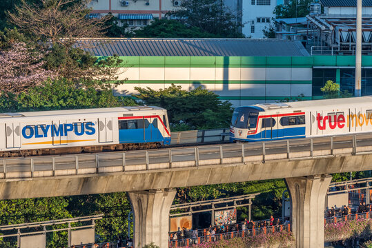 BTS Skytrain Train