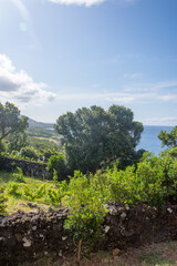 Walk on the Azores archipelago. Discovery of the island of sao jorge, Azores. Velas