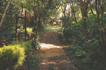 path in the small village - 364049002