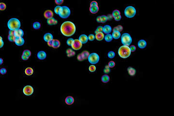 lots of small soap bubbles isolated on balck background.
