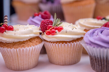 Red currant and raspberry on a holiday cupcake with white cream