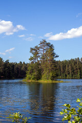 Obraz premium Island on a forest lake on a sunny summer day, Estonia