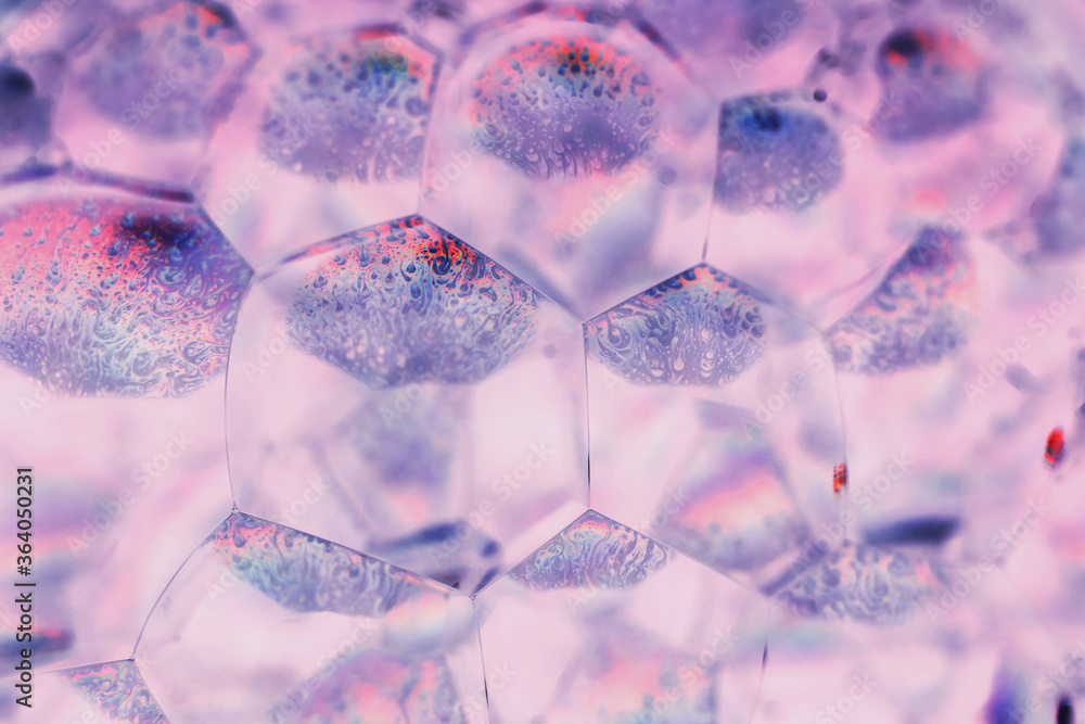 Poster Close up Beautiful pink abstract soap bubbles. Background pattern for design. Macro photography view.