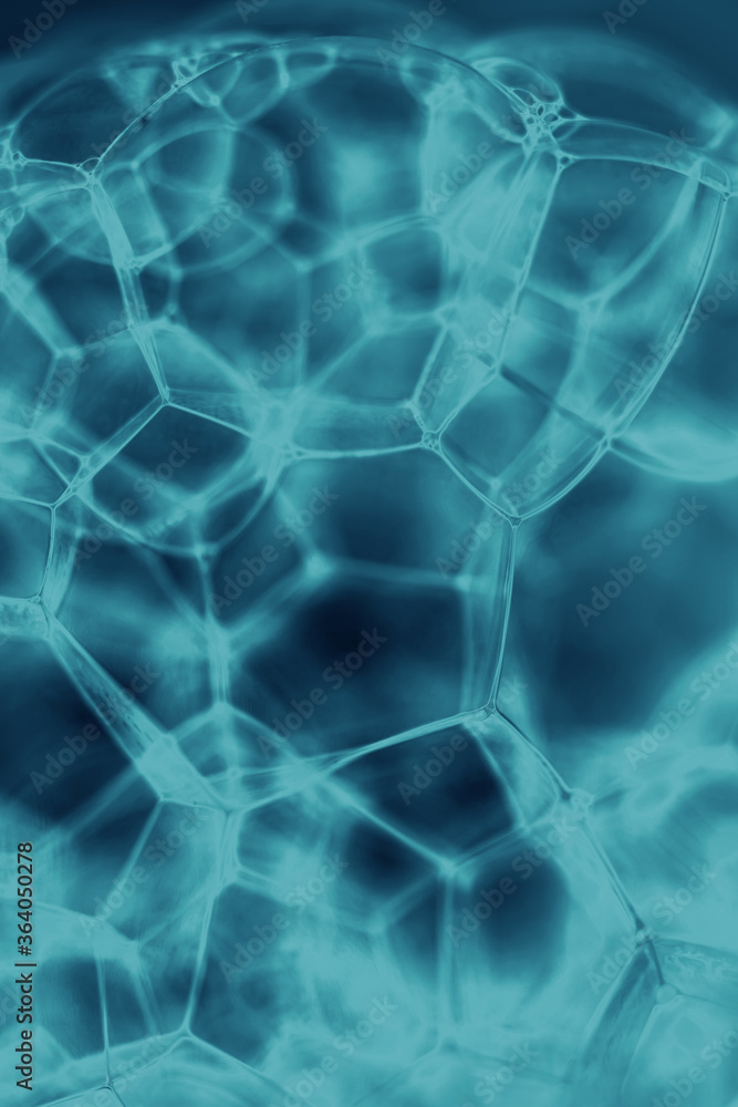 Poster Close up Beautiful blue abstract soap bubbles. Background pattern for design. Macro photography view.