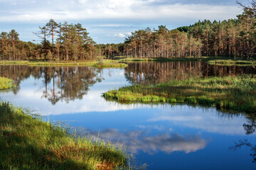 Fototapeta na wymiar summer landscape with cloud reflection in a forest lake, Estonia