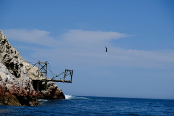 Peru Ballestas Islands - Rocky shore