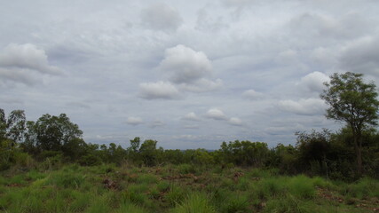 Fototapeta premium clouds over the forest