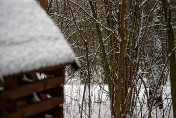 big bird feeder in the Park in the snow, Moscow