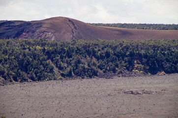 Barren vegetation and trees at edge of solidified lava lake flow caused by eruption of Kilauea...