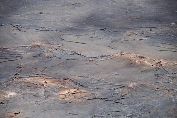 Barren vegetation and trees on surface of solidified lava lake flow in Kilauea Iki crater caused by...