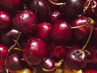 Different sorts of sweet cherries close up and fresh. Red, white, black right from the tree. 