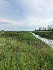landscape with river