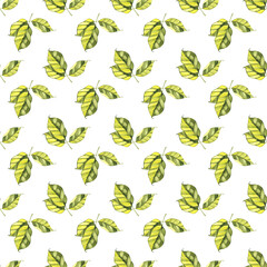 Spring tender green leaves, watercolor, pattern, abstract, wallpaper.