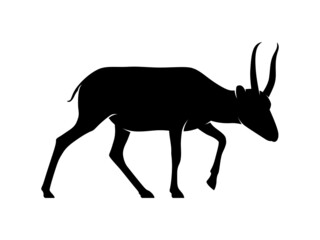 isolated silhouette antelope on white background. 4 leg animal vector design illustration