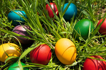 Easter eggs in the grass