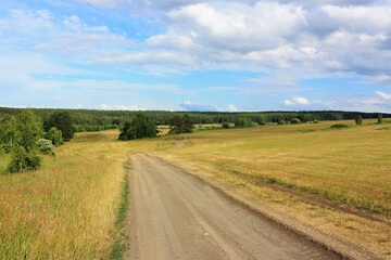 Fototapeta na wymiar Country road in a wheat field