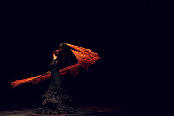 Flamenco dancer in traditional costume. Flamenco spanish dance on stage