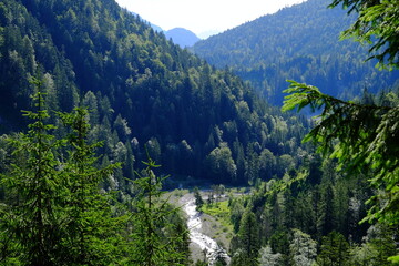 Blick über das Niedernachtal