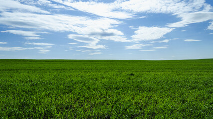 classic panoramic view of green grass and blue sky with clouds natural background