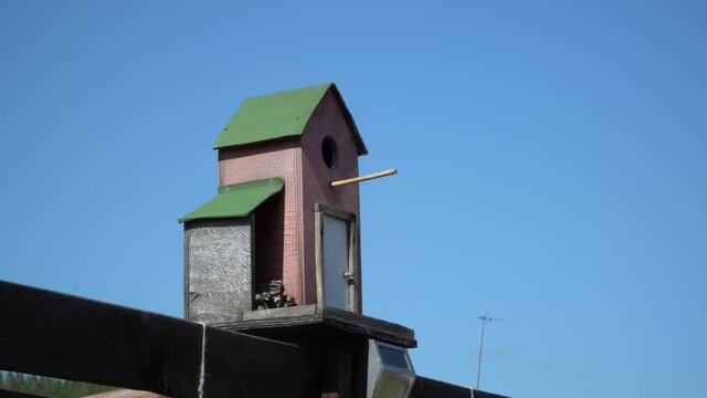 the bird gets out of the birdhouse and flies away