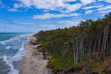  Aerial view of lonely pristine Baltic Sea beach with dunes and coastal forest