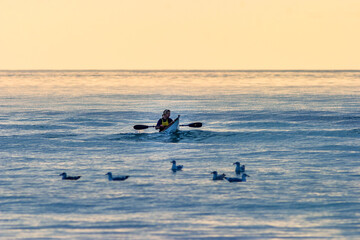 Kayaking at sea with flock of seagulls