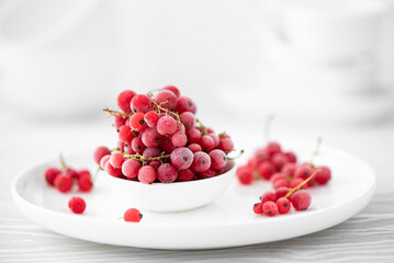 frozen red currant berries in a white bowl