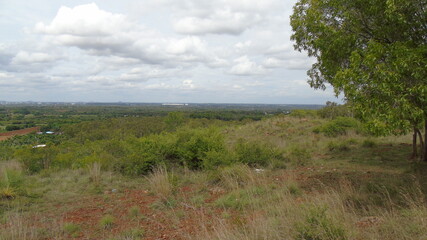 landscape with trees and clouds