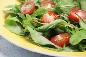 A plate with green salad and cherry tomatoes