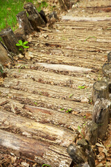 Massage track of natural materials in the forest, sunny summer day.