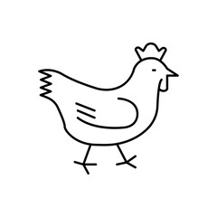 chicken