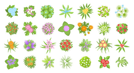 Vector set. Flowers. Top view. Collection of different flowers for architectural and landscape design. (View from above) Nature green spaces.