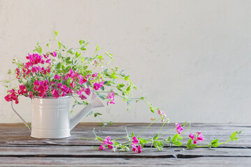 pink summer flowers in watering can on background white wall © Maya Kruchancova